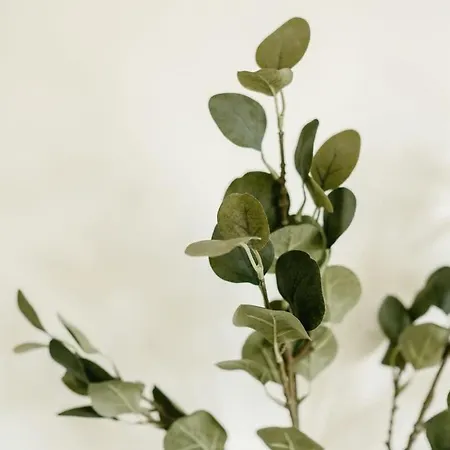 Apartment Grange Rd Flat 5 One Bedroom *