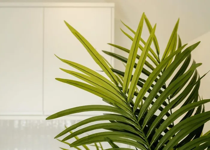 아파트 Grange Rd Flat 5 One Bedroom 브리스틀