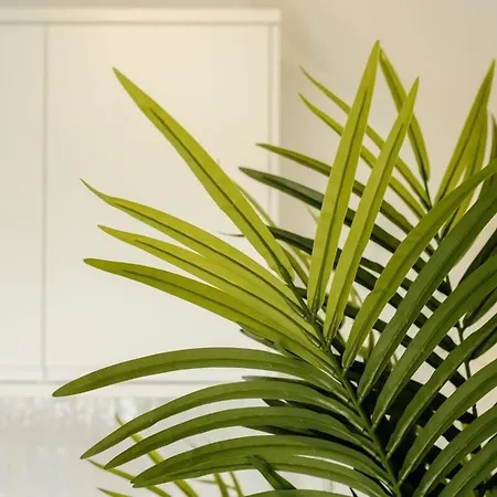 Lejlighed Grange Rd Flat 5 One Bedroom Bristol