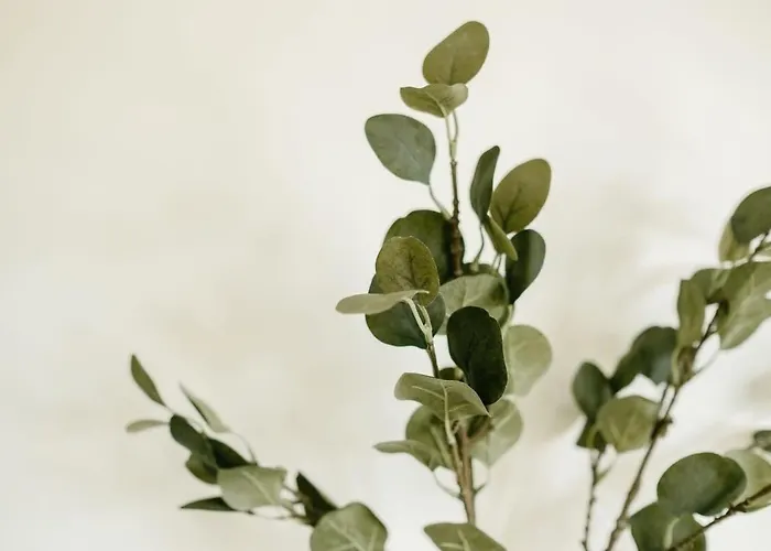 Appartement Grange Rd Flat 5 One Bedroom *