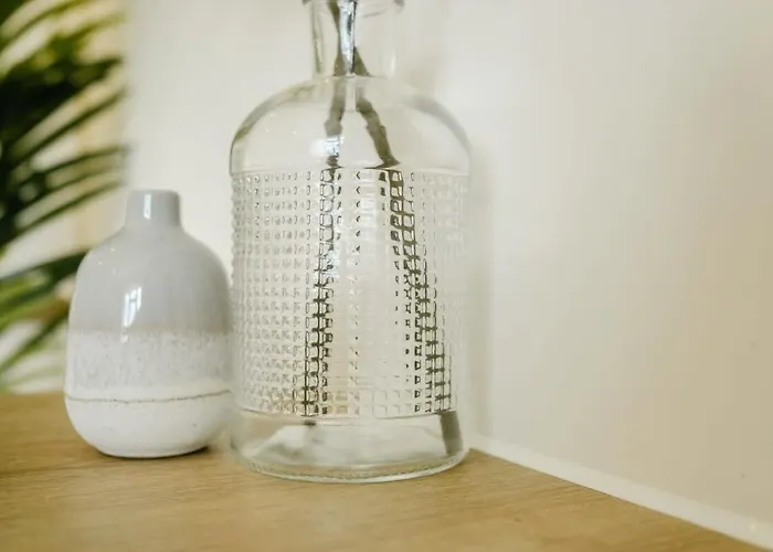 公寓 Grange Rd Flat 5 One Bedroom 布里斯托